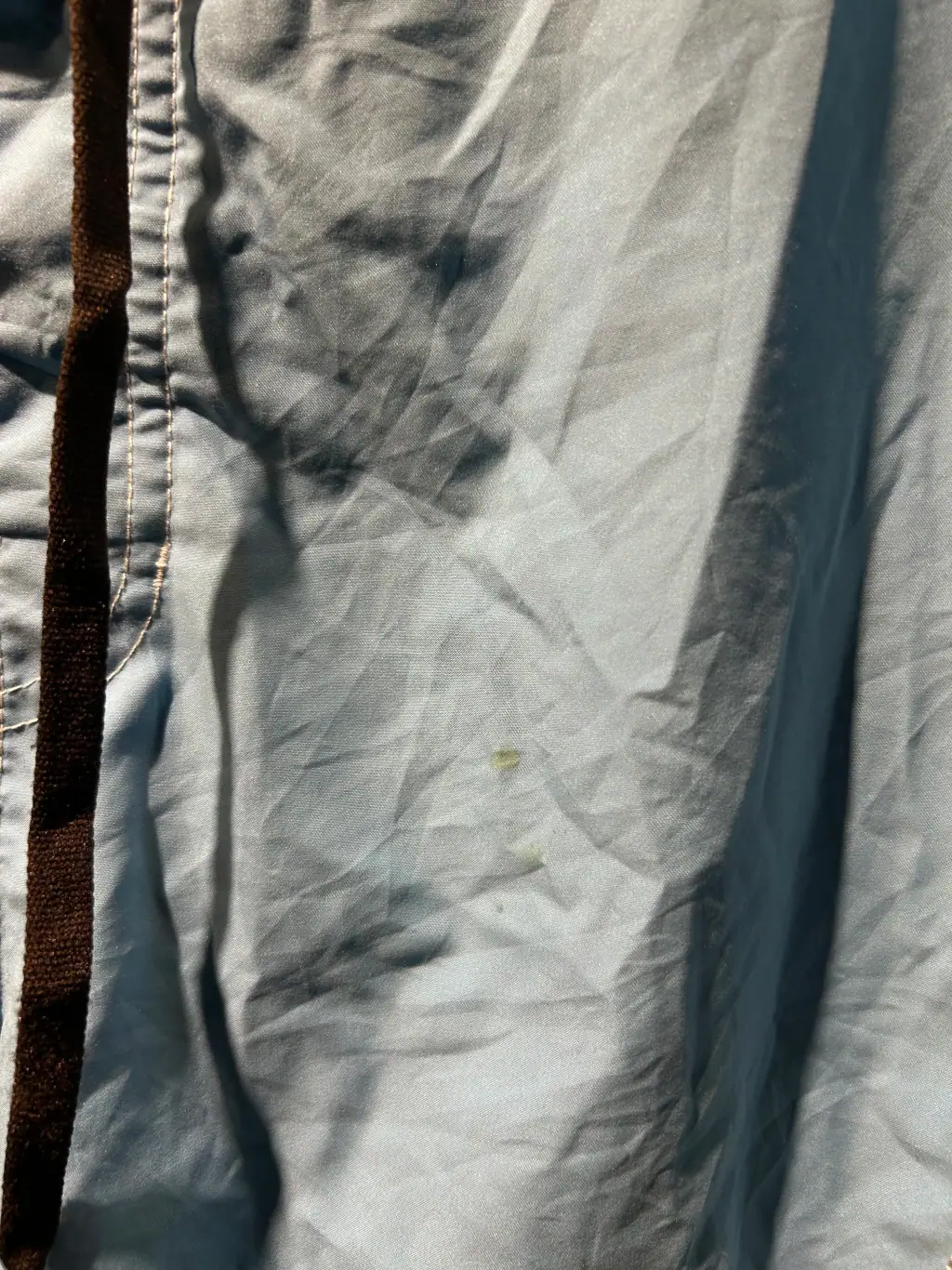 Boardshort Speedo, foto 5 de 5